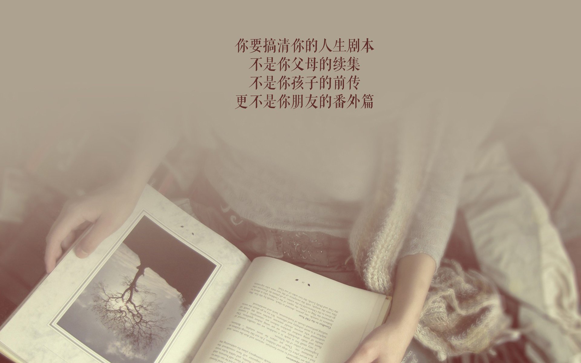 各路豪强在赛场上搏杀，展现出强大竞技实力，各路豪杰各显其能