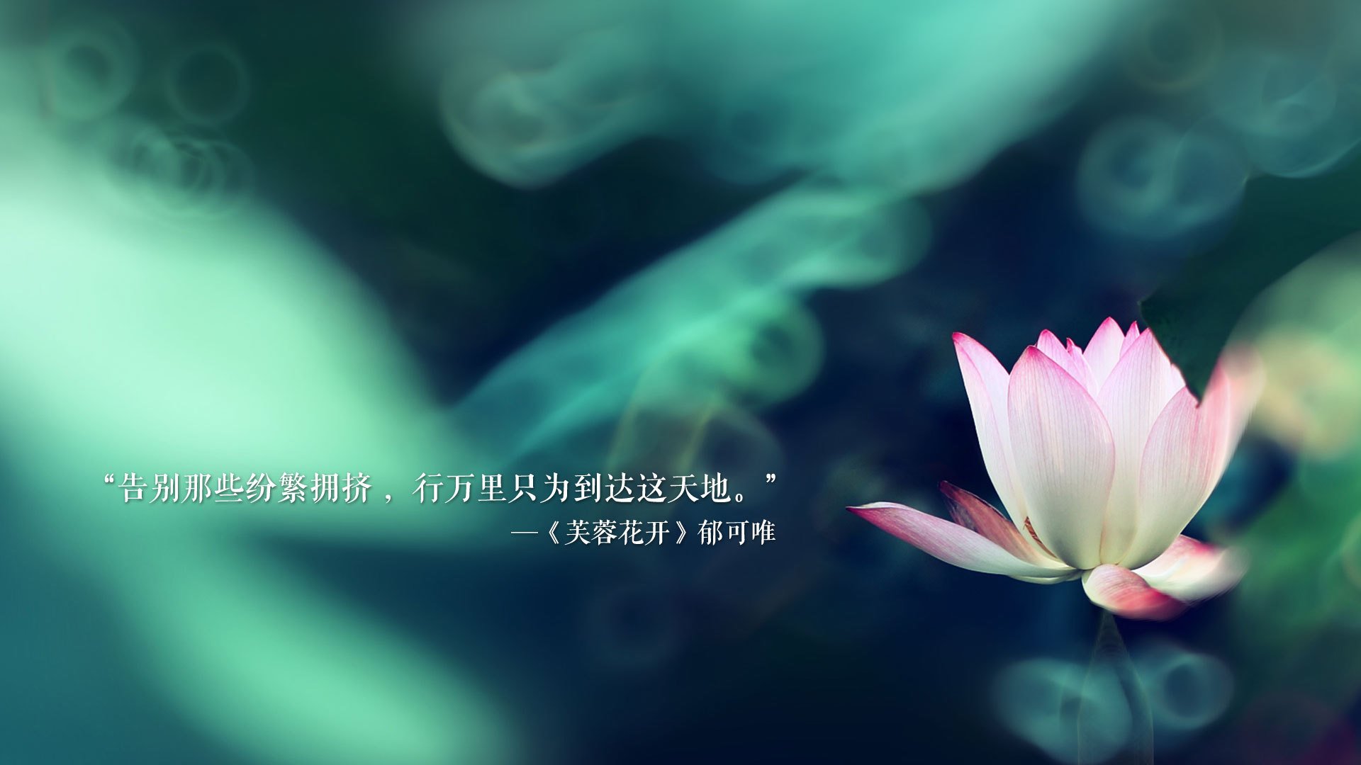 靈巧傳球讓對手防線手忙腳亂，得分如潮