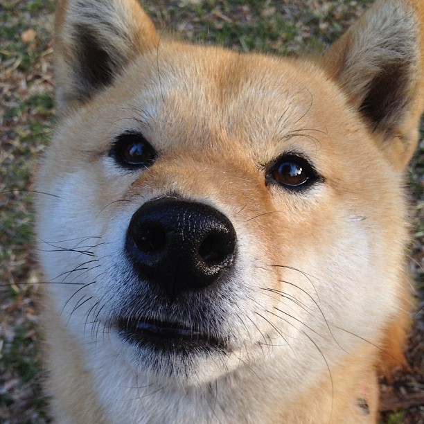 中国男篮强化外线投篮训练，外线投篮是三分球吗