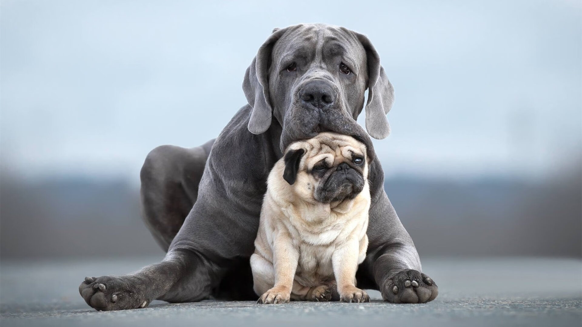 开云·体育官网-英超冲刺季：悬念持续升温，精彩无限！，英超专题